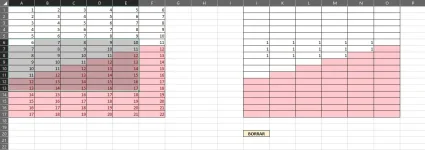 Selec. 5 columnas.webp